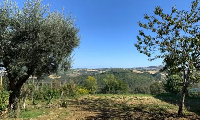 Rexer-Montappone-Casa-indipendente-in-vendita-Terrazzo