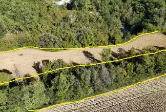 Rexer-Isola-del-Gran-Sasso-dItalia-Quasi-m-di-terreno-edificabile-da-unazienda-agricola-Terrazzo