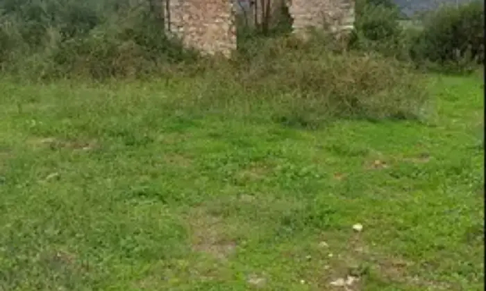 Rexer-Priverno-TrifamiliarePriverno-Altro