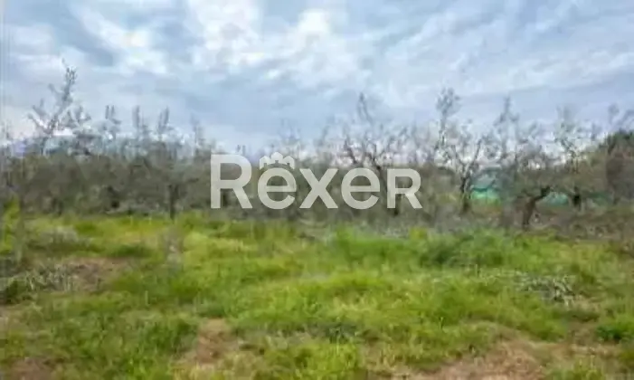 Rexer-Genazzano-Casale-in-vendita-in-via-RepetaGenazzano-Altro