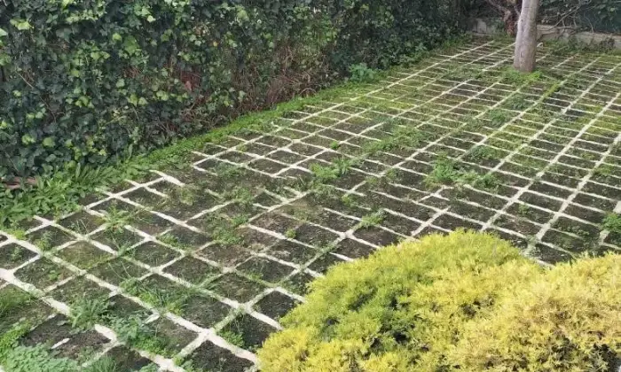 Rexer-Cupramontana-Quadrilocale-in-vendita-Altro