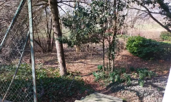 Rexer-Vestign-Fabbricato-di-mq-in-centro-storico-con-giardino-e-terreno-Altro