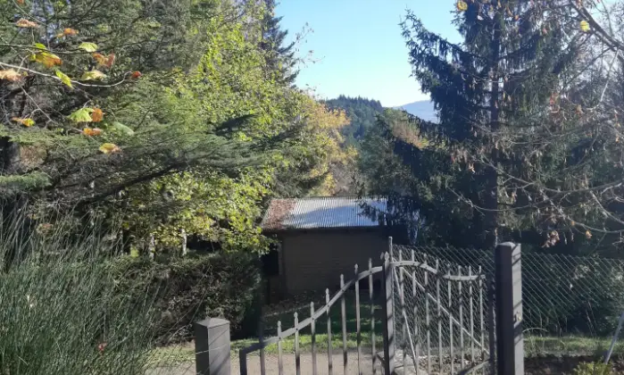 Rexer-Chiusi-della-Verna-vendesi-casa-indipendente-nel-Parco-Nazionale-Foreste-Casentinesi-Giardino