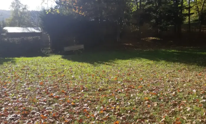 Rexer-Chiusi-della-Verna-vendesi-casa-indipendente-nel-Parco-Nazionale-Foreste-Casentinesi-Giardino