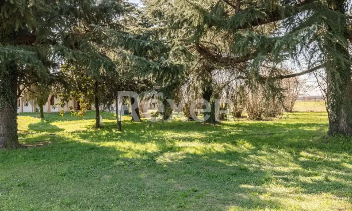 Rexer-ASOLO-Villa-unifamiliare-indipendente-con-porticato-e-ampio-terreno-Altro