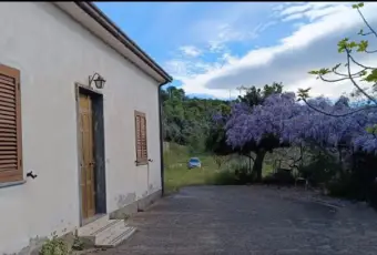 Rexer-Luzzi-Casa-indipendente-in-venditaLuzzi-Altro