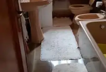Rexer-Carpineto-Sinello-Casa-indipendente-Carpineto-Sinello-CH-Altro