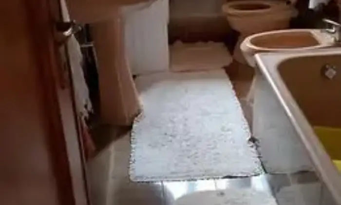 Rexer-Carpineto-Sinello-Casa-indipendente-Carpineto-Sinello-CH-Altro