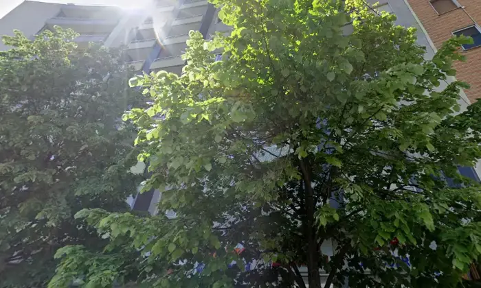 Rexer-Milano-MilanoCitt-Studi-Bilocale-luminoso-al-e-ultimo-piano-con-parquet-naturale-originale-nel-soggiorno-Altro