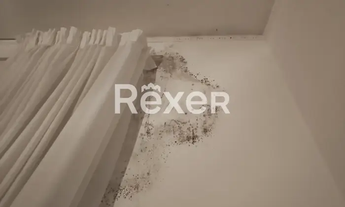 Rexer-Taranto-Villa-con-impianto-fotovoltaico-giardino-e-terreno-edificabile-Altro