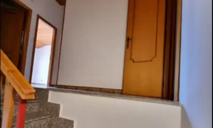 Rexer-Frisa-Casa-independente-a-Frisa-Altro