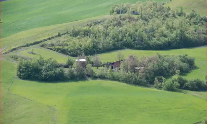 Rexer-Pianoro-podere-di-ettari-con-due-ruderi-da-ricostruire-Terrazzo