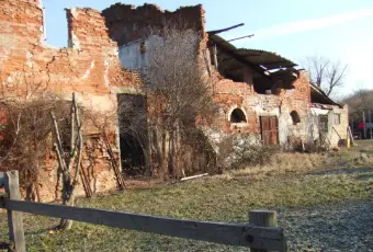 Rexer-Pianoro-podere-di-ettari-con-due-ruderi-da-ricostruire-Giardino