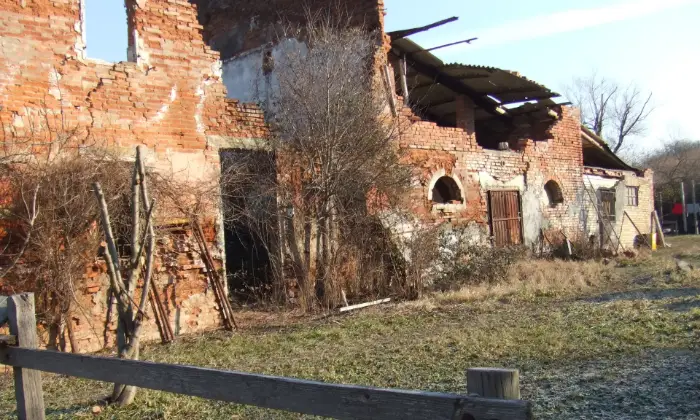 Rexer-Pianoro-podere-di-ettari-con-due-ruderi-da-ricostruire-Giardino