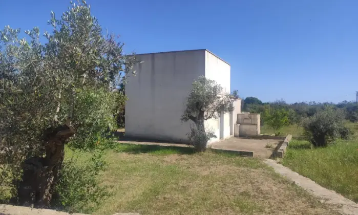 Rexer-Morciano-di-Leuca-Uliveto-produttivo-con-deposito-e-possibilit-di-realizzare-casa-vacanze-Deposito