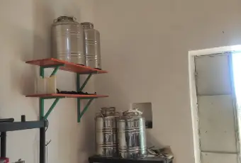 Rexer-Morciano-di-Leuca-Uliveto-produttivo-con-deposito-e-possibilit-di-realizzare-casa-vacanze-Deposito