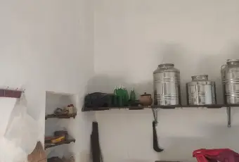 Rexer-Morciano-di-Leuca-Uliveto-produttivo-con-deposito-e-possibilit-di-realizzare-casa-vacanze-Deposito