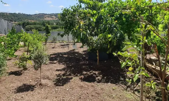 Rexer-Putifigari-Villa-in-vendita-in-via-UmbertoPutifigari-Altro
