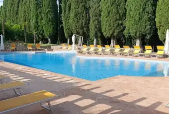 Rexer-Polpenazze-del-Garda-Monolocale-in-vendita-in-via-Angelo-OmodeoPolpenazze-del-Garda-Piscina