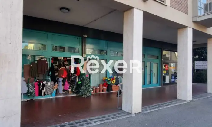 Rexer-BOLOGNA-Negozio-in-via-Emilia-Levante-a-Bologna-Altro