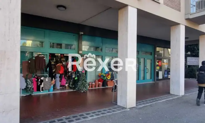 Rexer-BOLOGNA-Negozio-in-via-Emilia-Levante-a-Bologna-Altro