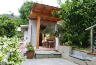Rexer-Massarosa-Terratetto-in-vendita-in-via-Del-Borrone-a-Massarosa-Altro