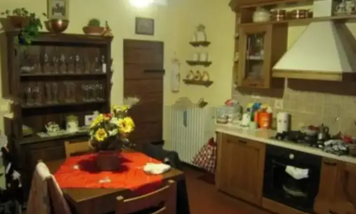Rexer-Massarosa-Terratetto-in-vendita-in-via-Del-Borrone-a-Massarosa-Altro