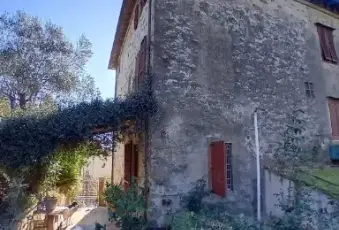 Rexer-Massarosa-Terratetto-in-vendita-in-via-Del-Borrone-a-Massarosa-Altro