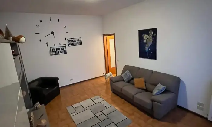 Rexer-Alessandria-Appartamento-in-Via-Niccol-Machiavelli-Alessandria-Altro