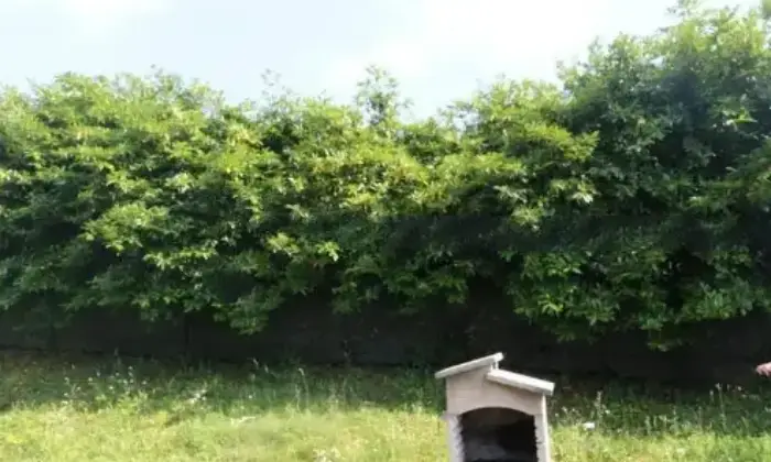 Rexer-Dicomano-Villa-in-vendita-a-Dicomano-Altro