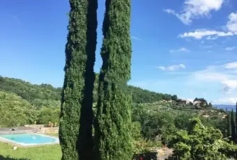Rexer-Dicomano-Villa-in-vendita-a-Dicomano-Altro