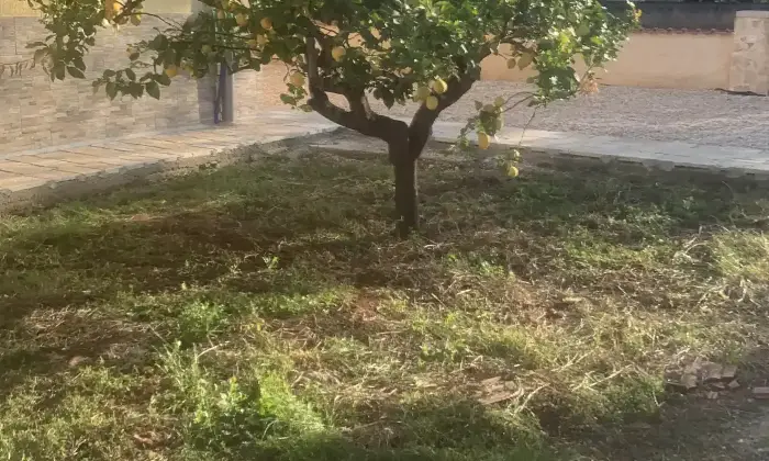 Rexer-San-Vito-dei-Normanni-Villa-indipendente-Giardino