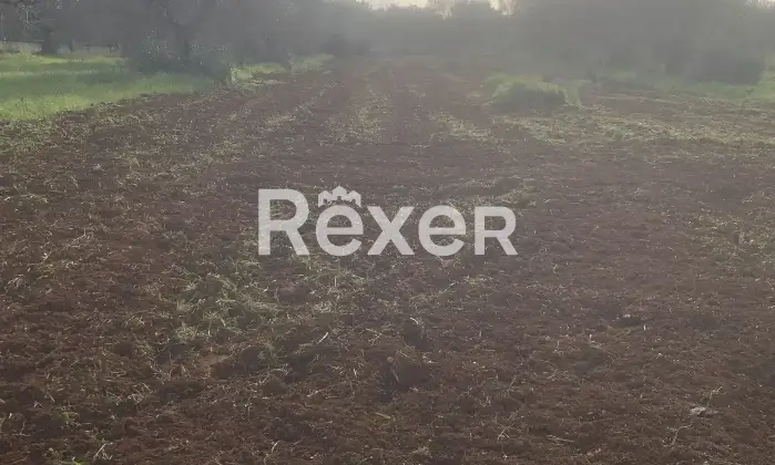 Rexer-San-Vito-dei-Normanni-Villa-indipendente-Giardino