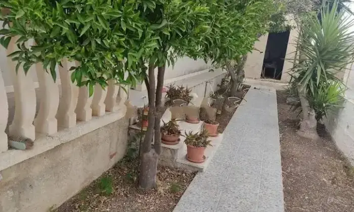 Rexer-Santa-Maria-del-Focallo-Villa-singola-familiare-a-Ispica-Altro