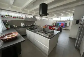 Rexer-Terrasini-Trilocale-in-vendita-a-Terrasini-Via-Calarossa-Altro