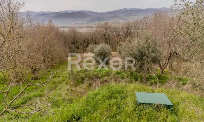 Rexer-Citt-di-Castello-CASALE-IN-VENDITA-A-CITTA-DI-CASTELLO-SUD-Altro