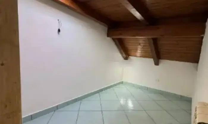 Rexer-Battipaglia-Semi-dipendente-su-livelli-a-Battipaglia-Altro