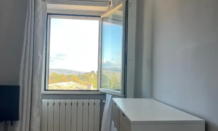 Rexer-Graffignano-Unico-nel-suo-genere-Altro