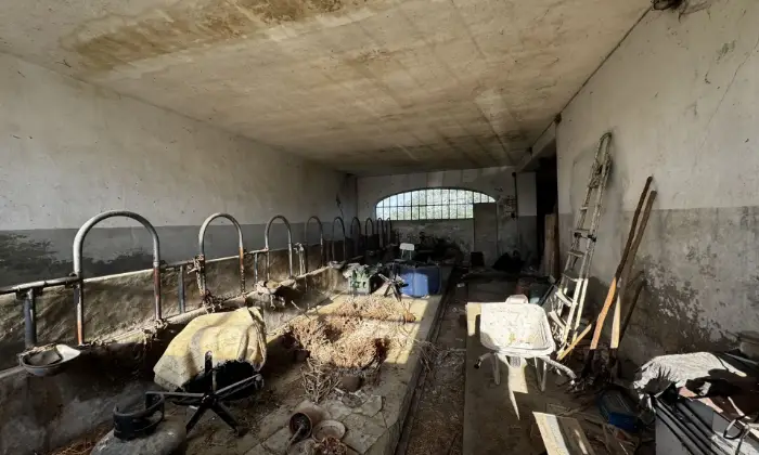 Rexer-Masio-Casale-con-terreni-Altro