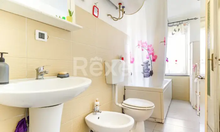 Rexer-Castagnole-Monferrato-Affascinante-Cascina-Ristrutturata-con-Bosco-Privato-a-Castagnole-Monferrato-Altro