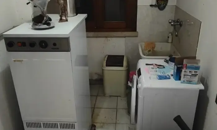 Rexer-Ceneselli-Altro
