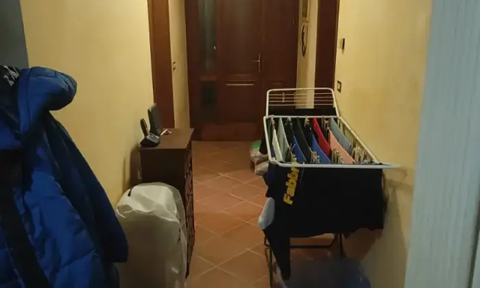 Rexer-Ceneselli-Altro