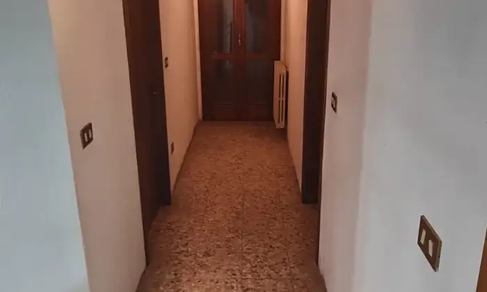 Rexer-Ceneselli-Altro