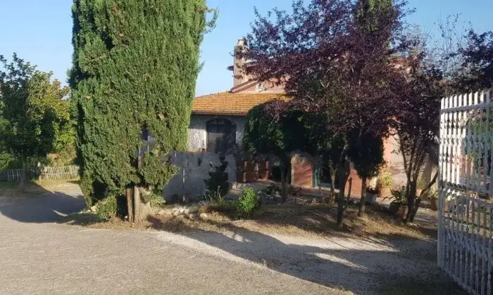 Rexer-Bassano-in-Teverina-Casale-Strada-Provinciale-Ortana-a-Bassano-in-Teverina-Altro