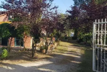 Rexer-Bassano-in-Teverina-Casale-Strada-Provinciale-Ortana-a-Bassano-in-Teverina-Altro