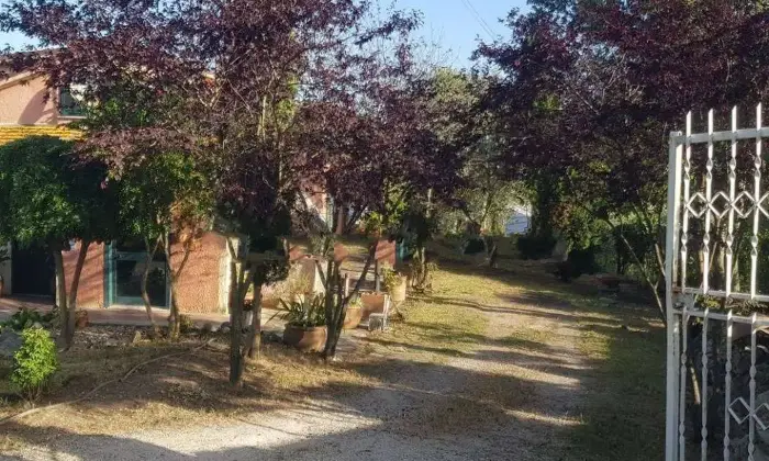Rexer-Bassano-in-Teverina-Casale-Strada-Provinciale-Ortana-a-Bassano-in-Teverina-Altro
