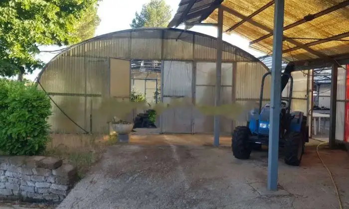 Rexer-Bassano-in-Teverina-Casale-Strada-Provinciale-Ortana-a-Bassano-in-Teverina-Altro