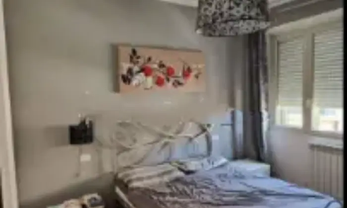 Rexer-Grosseto-Vendita-Trilocale-in-Via-Giacomo-LeopardiGrosseto-Altro