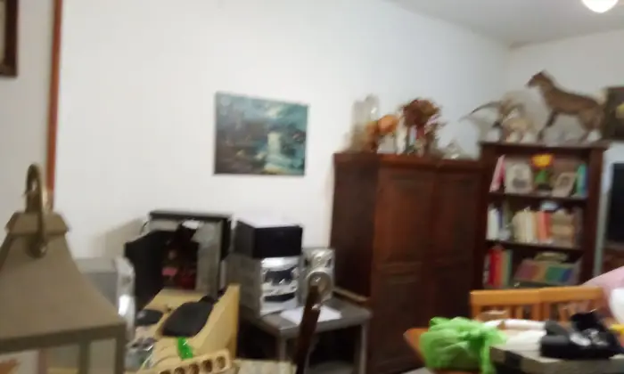 Rexer-Termoli-Appartamento-in-Via-degli-Olivi-Termoli-Altro