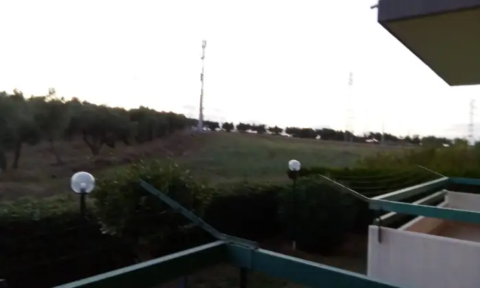Rexer-Termoli-Appartamento-in-Via-degli-Olivi-Termoli-Altro